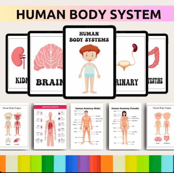 The Ultimate 36,000+ Preschool Activity Bundle – Digital Download - Image 6